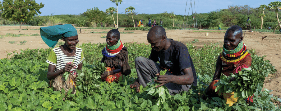 Families in Turkana County, Kenya, are meeting their needs from the proceeds of a community garden made possible by ADRA and the Canadian Foodgrains Bank. [Photo: ADRA Canada]