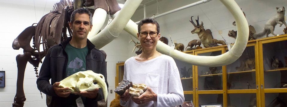 Daniel Gonzalez-Socoloske and Roshelle Hall hold specimens while standing in front of the “Prillowitz Mammoth,” the most complete Columbian Mammoth found in the state of Michigan. [Photo: Nicholas Gunn]
