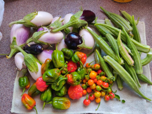 st-maarten-fresh-vegetables